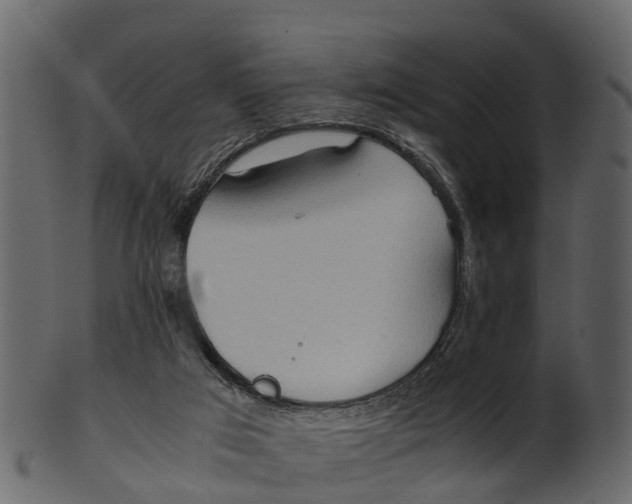 X0000100480017200807031903