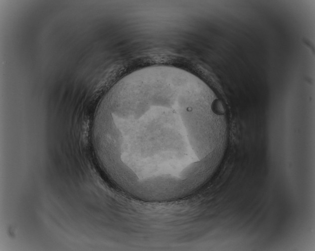 X0000100480018200807031903