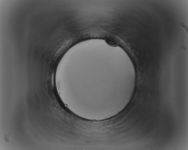 X0000100480019200807031903