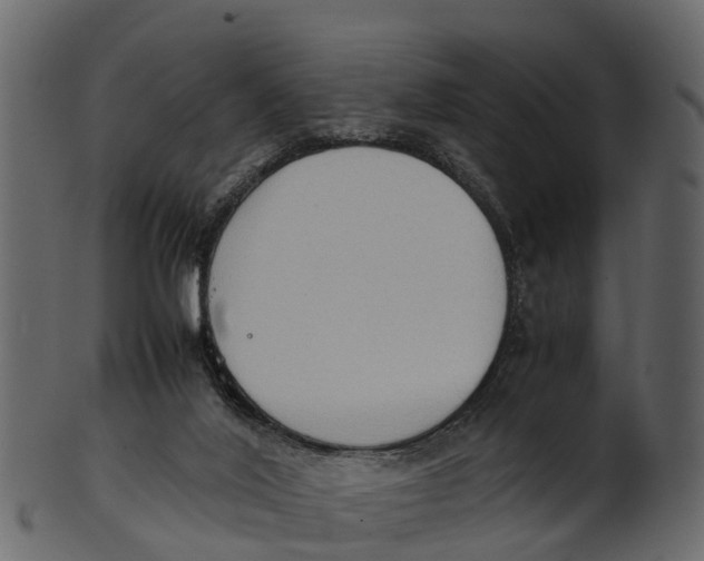 X0000100480020200807031903