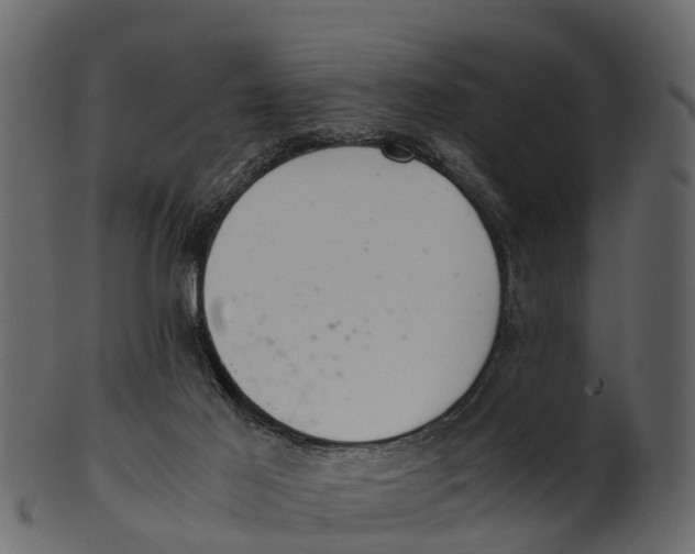 X0000100480021200807031903