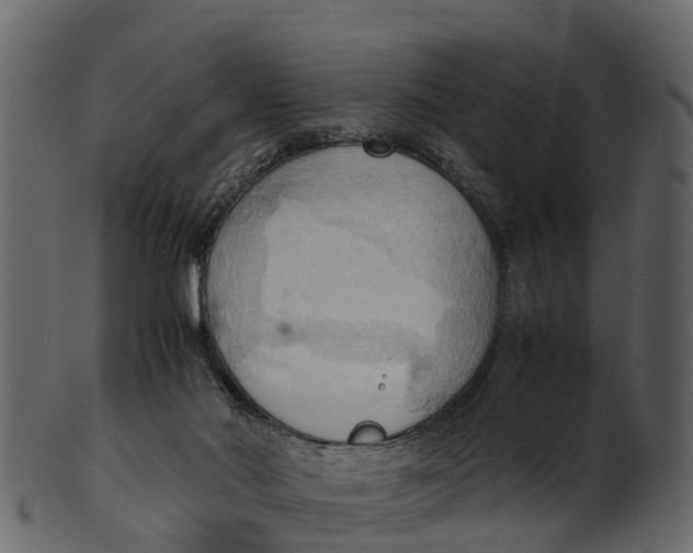 X0000100480022200807031903