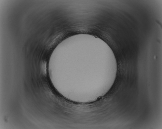 X0000100480024200807031903