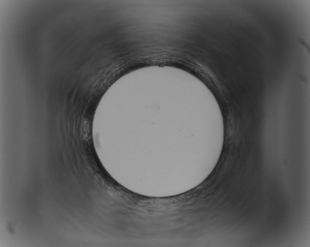 X0000100480025200807031903