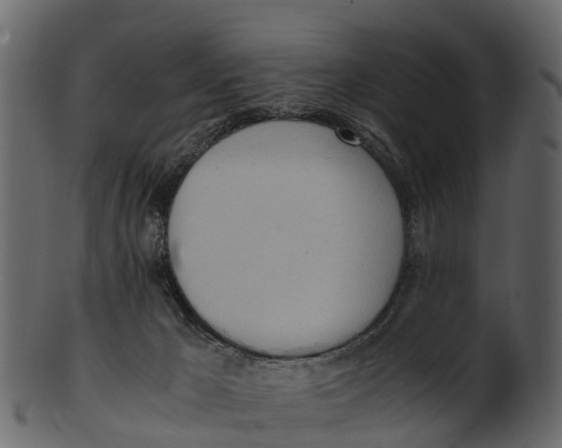 X0000100480029200807031903