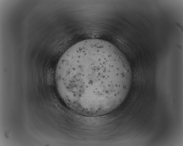 X0000100480030200807031903