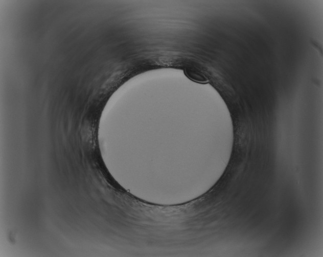 X0000100480031200807031903