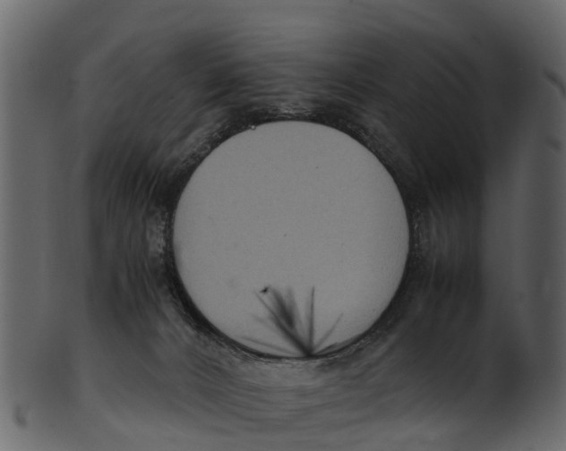 X0000100480032200807031903