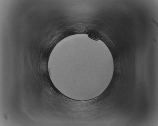 X0000100480035200807031903