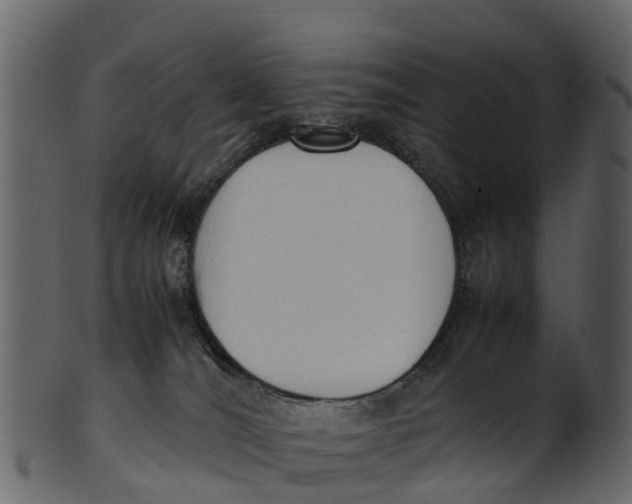 X0000100480036200807031903