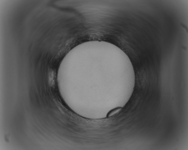 X0000100480038200807031903