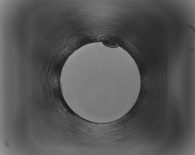 X0000100480039200807031903