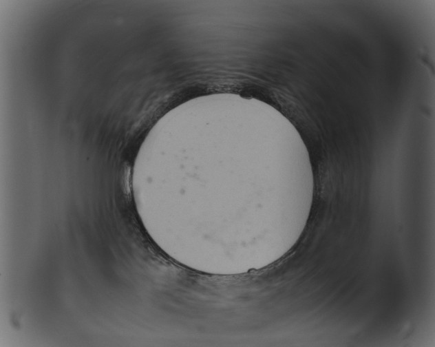 X0000100480041200807031903