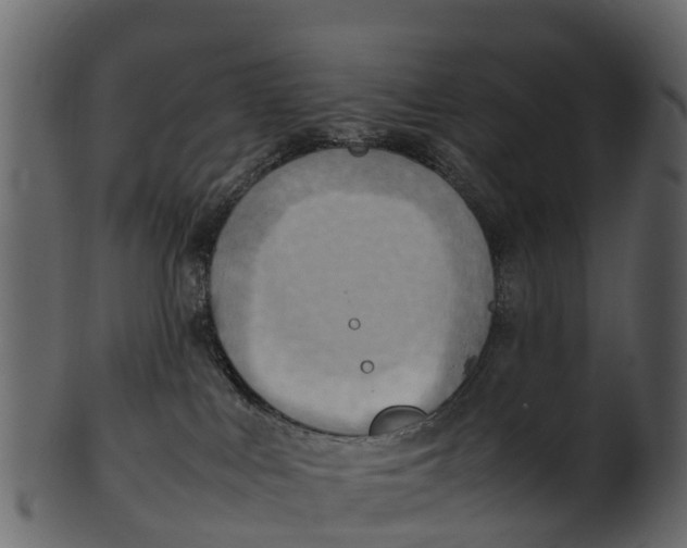 X0000100480043200807031902