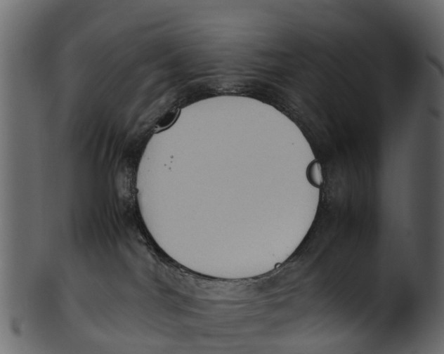 X0000100480044200807031902