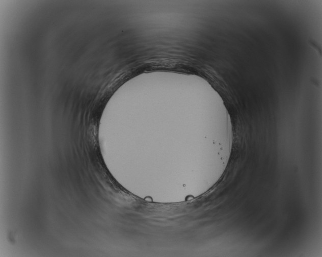 X0000100480045200807031902