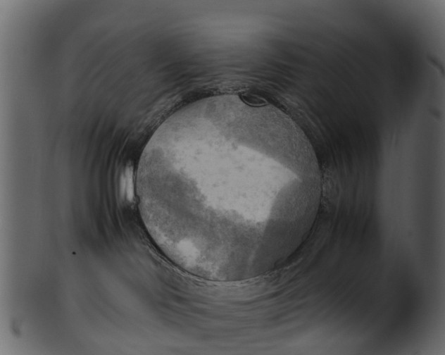 X0000100480046200807031902