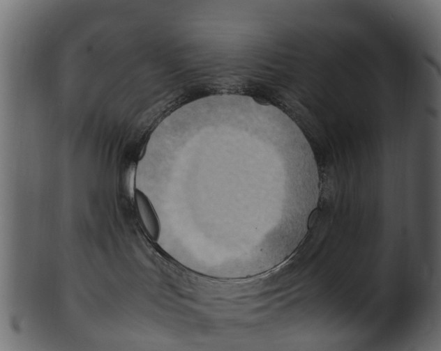 X0000100480047200807031902