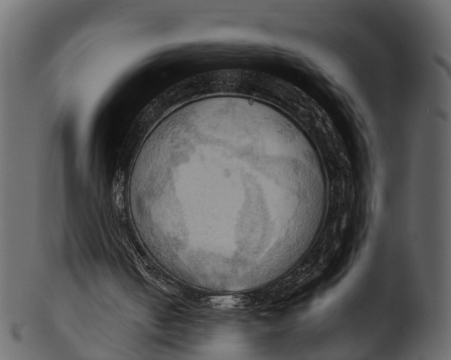 X0000100480050200807031902