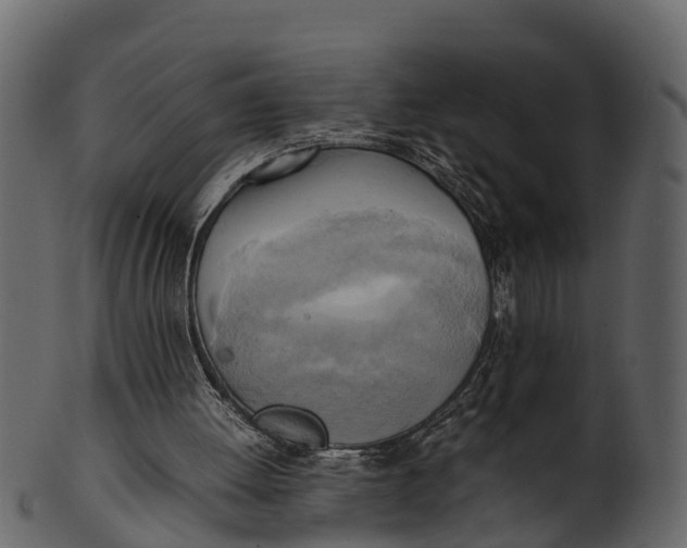 X0000100480052200807031902