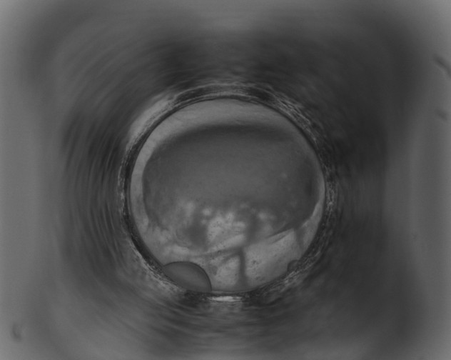 X0000100480053200807031902