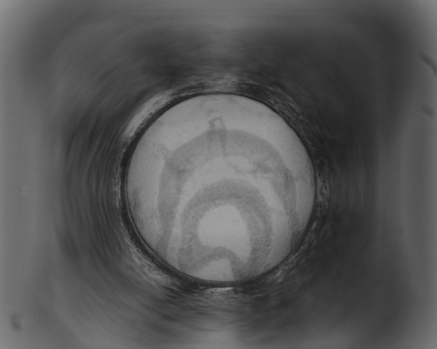 X0000100480054200807031902