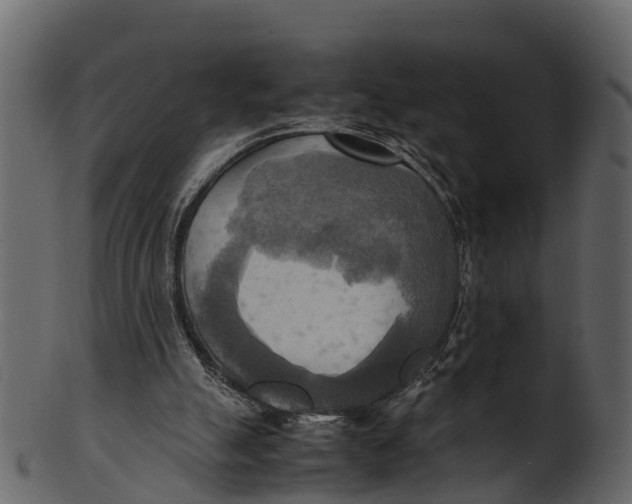 X0000100480055200807031902