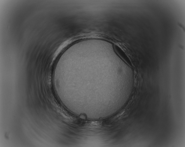 X0000100480056200807031902