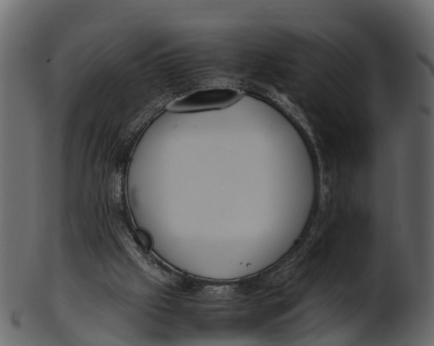 X0000100480057200807031902