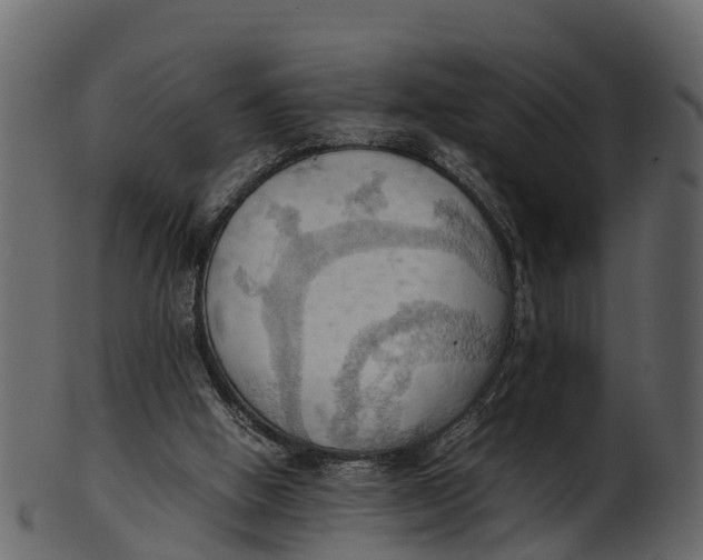 X0000100480058200807031902