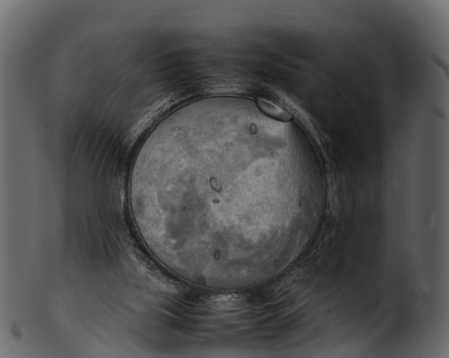 X0000100480059200807031902