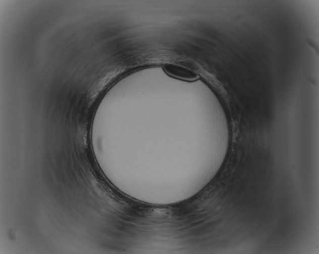 X0000100480060200807031902