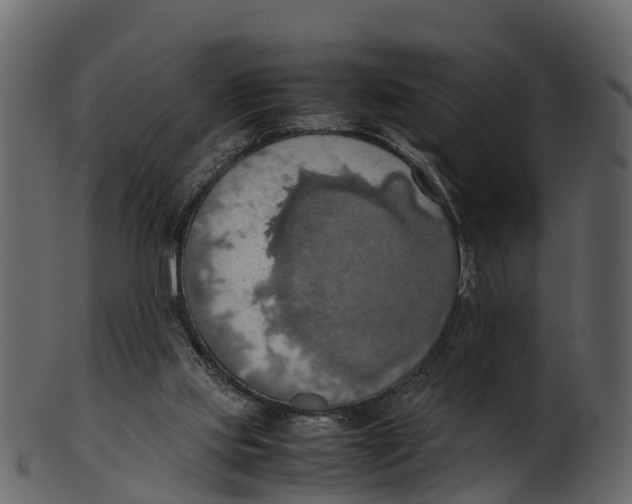 X0000100480061200807031902