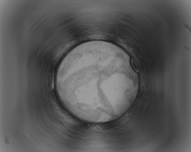 X0000100480062200807031902