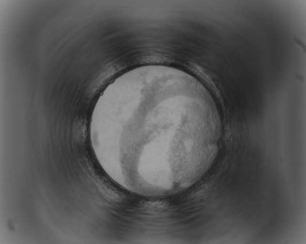 X0000100480063200807031902