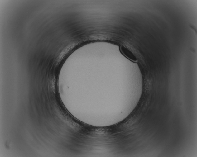 X0000100480064200807031902