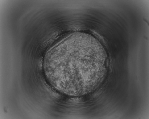 X0000100480065200807031902