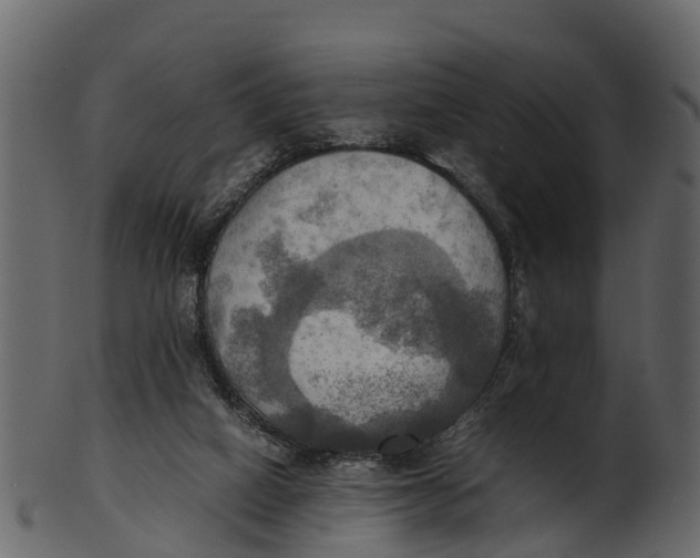 X0000100480066200807031902