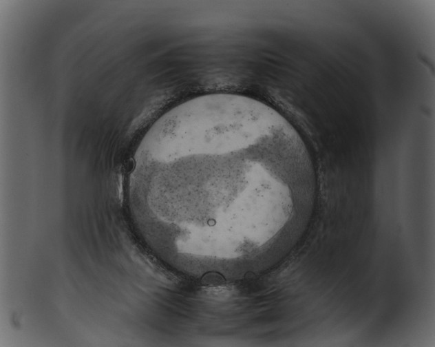 X0000100480067200807031902