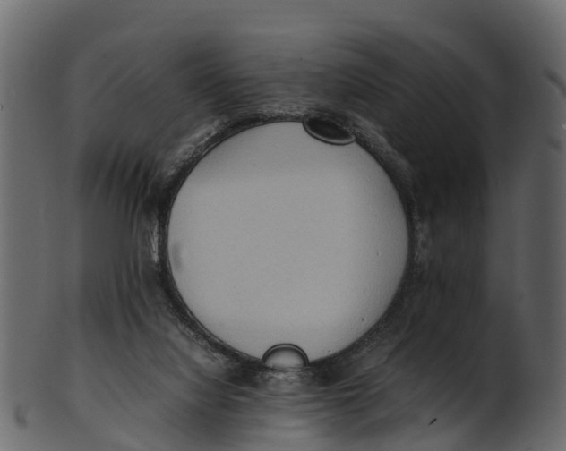 X0000100480068200807031902