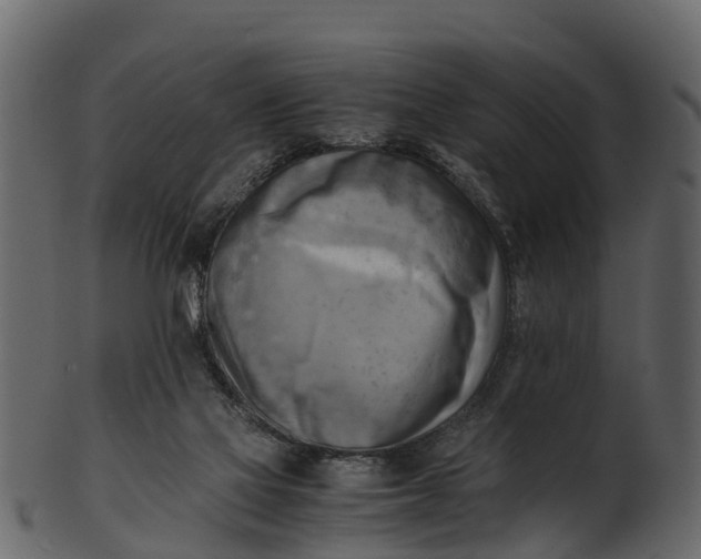 X0000100480069200807031902