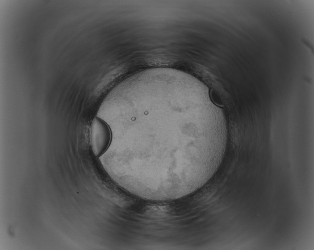 X0000100480071200807031902