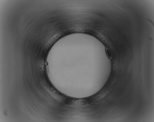 X0000100480072200807031902