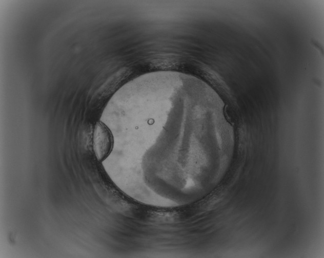 X0000100480073200807031902