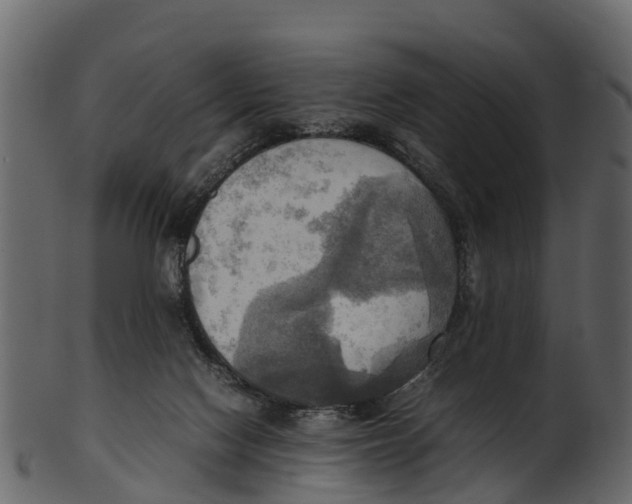 X0000100480074200807031902