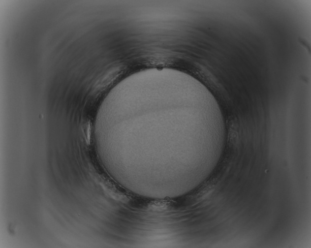 X0000100480076200807031902