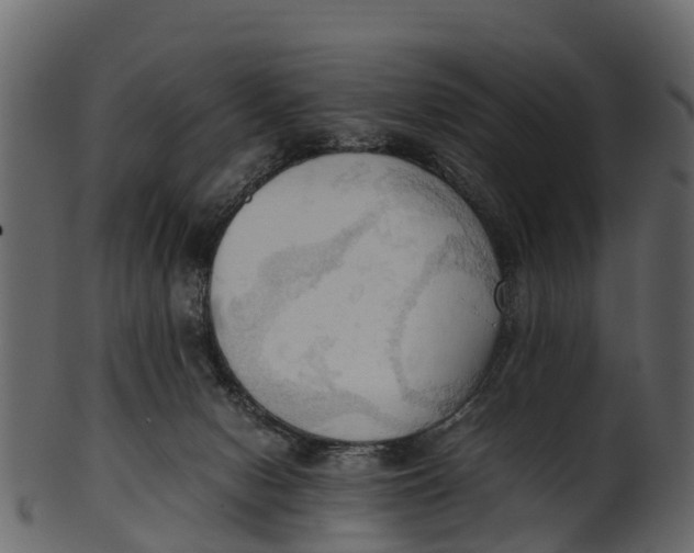 X0000100480078200807031902