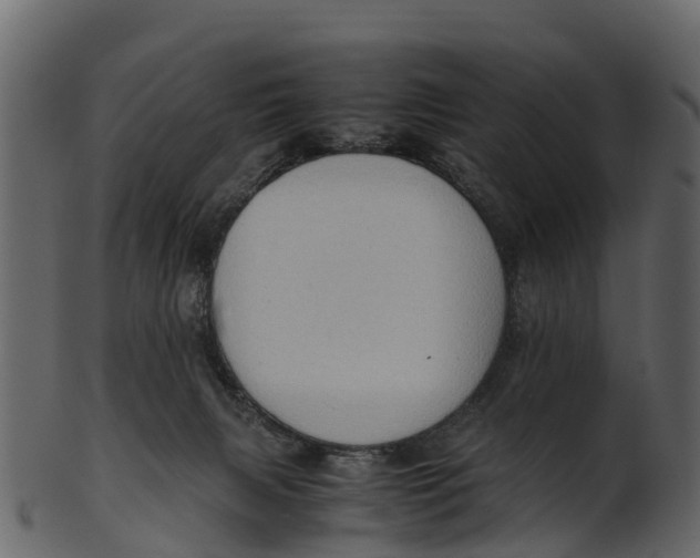 X0000100480079200807031902