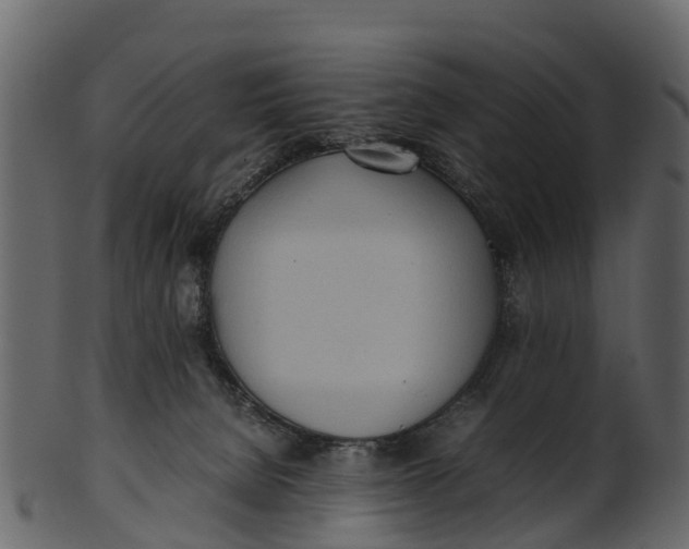 X0000100480080200807031902