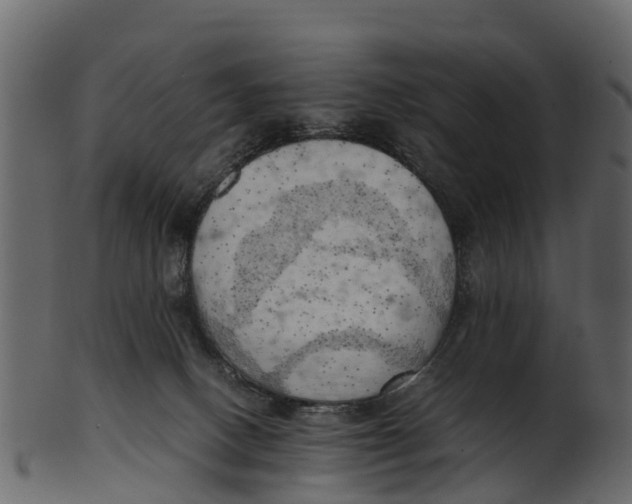 X0000100480082200807031902